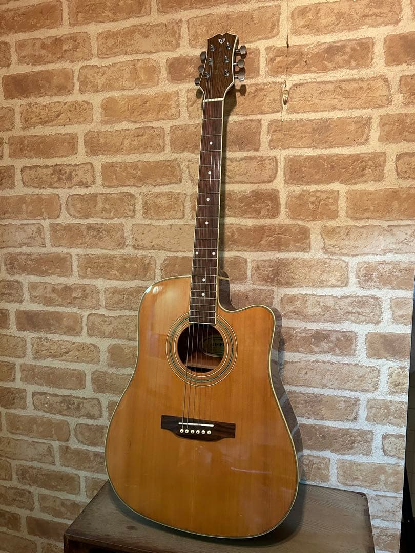 GIMELエレクトリックアコースティックギター