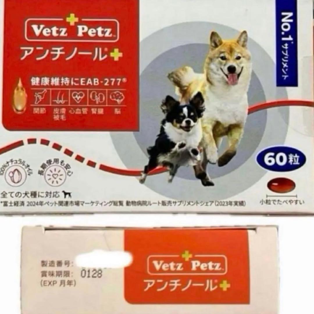 アンチノールプラス 60 ✖︎10