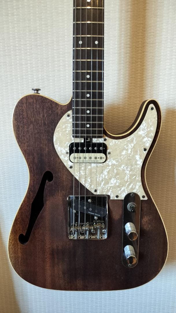 【Bacchus】T-HOLLOW テレキャスター HandmadeSeries