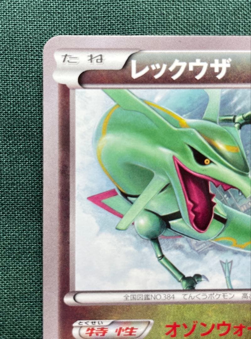 レックウザ　100/xy-p イラストコレクション　プロモ