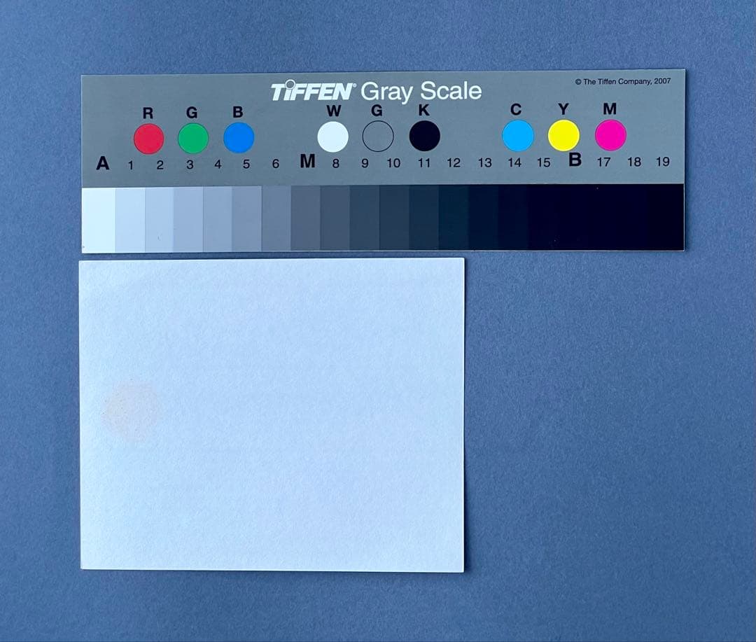 魂のピアニスト Fujiko Hemming 版画フジ子・ヘミング 絵画 完品