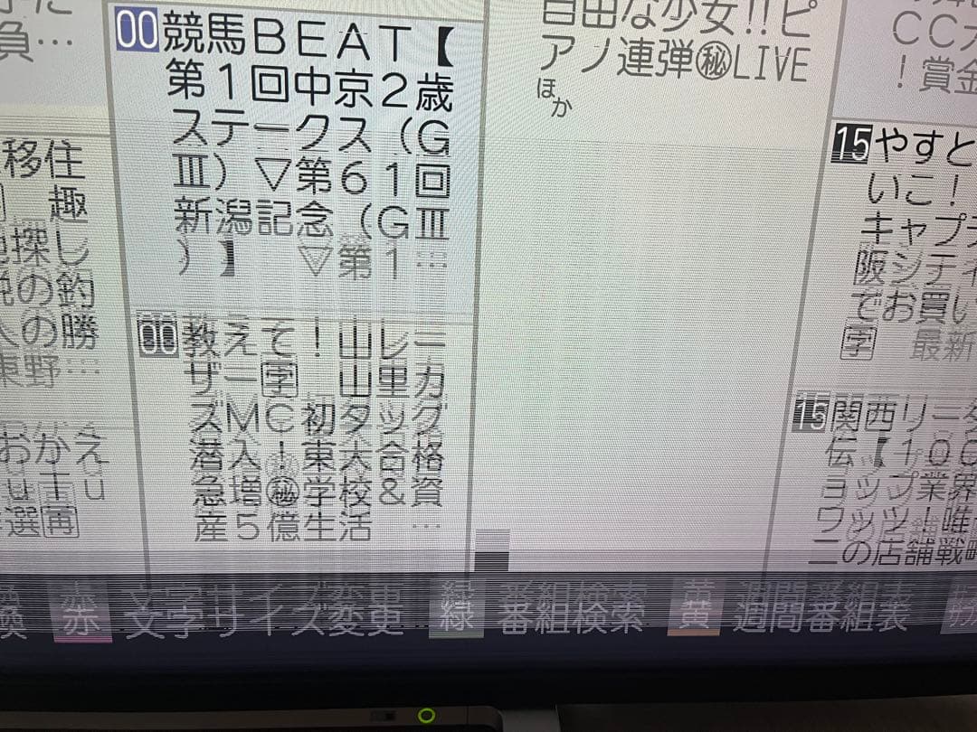 土日限定価格　東芝 TOSHIBA 50M520X 4K 50インチ REGZA