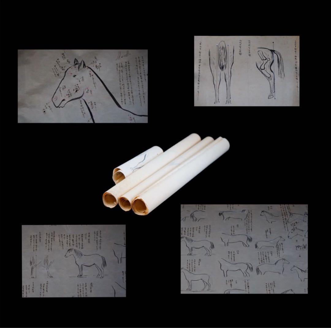 時代 馬学 巻物 まくり 4枚 和本 墨書 馬医書 馬療図 古文書 資料 戦前