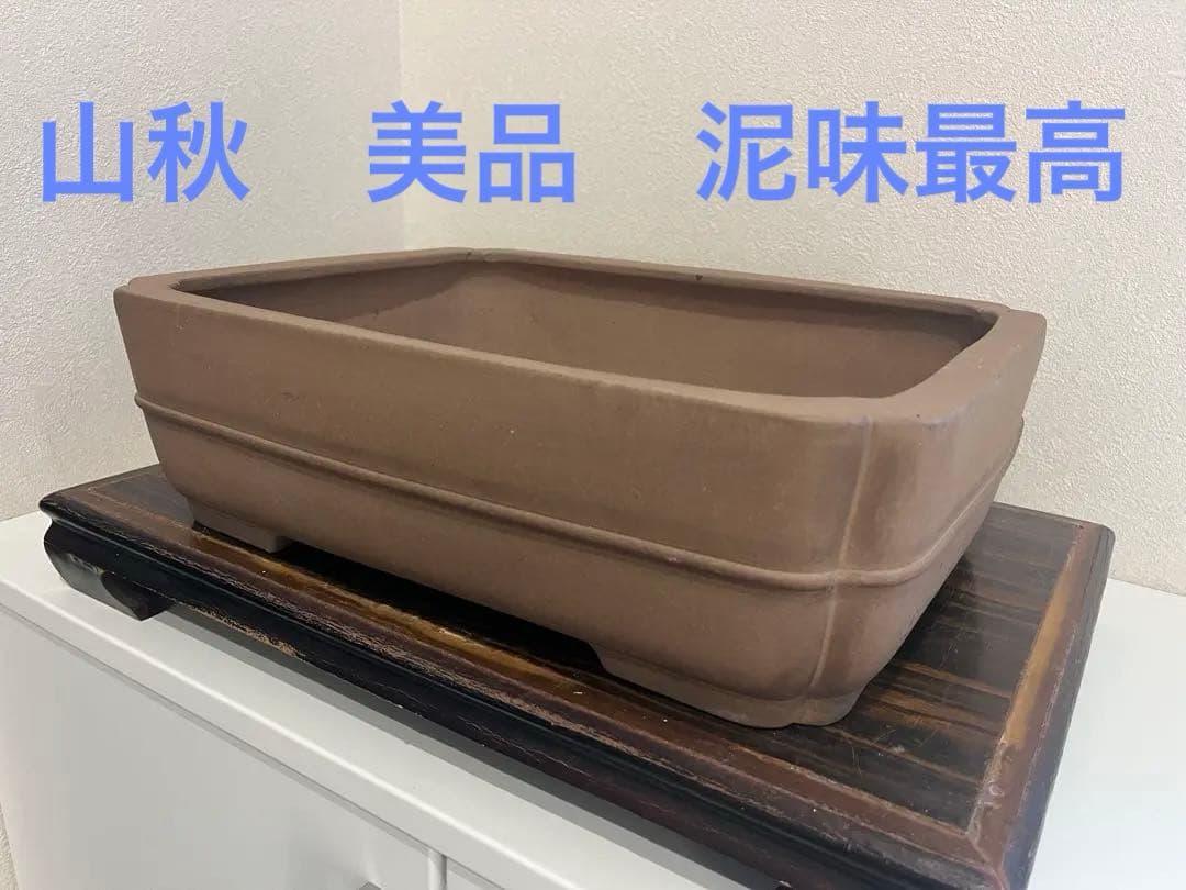 人気常滑作家 松泉焼 山秋造「松泉紫泥切立隅入中帯切足長方鉢」実用性抜群 盆栽鉢