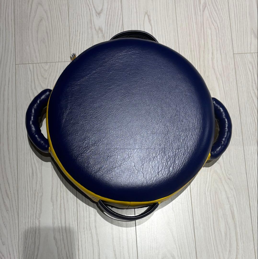 ISAMI BOXER パンチングミット