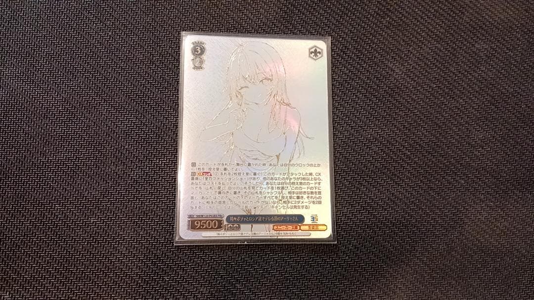 WS 時々ボソッとロシア語でデレる隣のアーリャさん PR+ ヴァイスシュバルツ