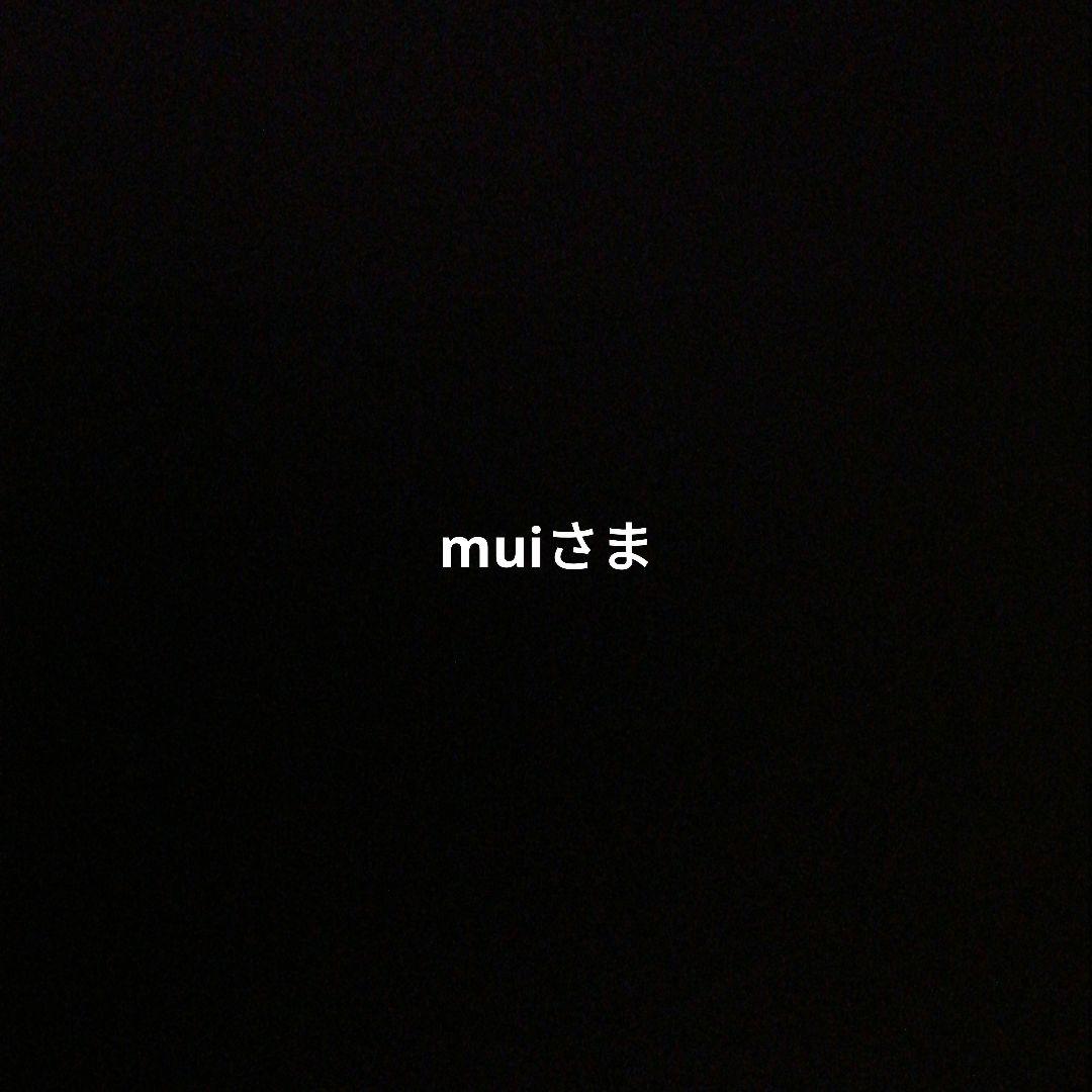 iPhone 15 Pro Max 花柄ケース