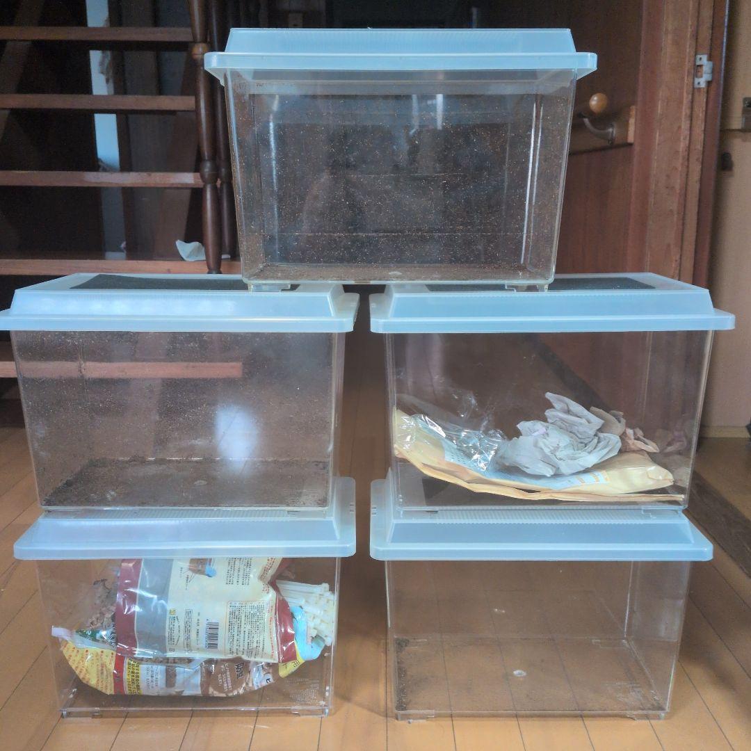 コバエ防止飼育ケース(大) スポンジフィルター付き×5