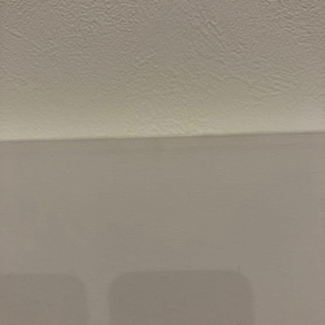 rene gagnonAISシリーズ キャンバス作品dolk banksy