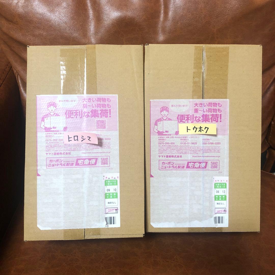 【完全未開封❗️最安値❗️】ポケモンセンターヒロシマ & トウホク BOX セット❗️