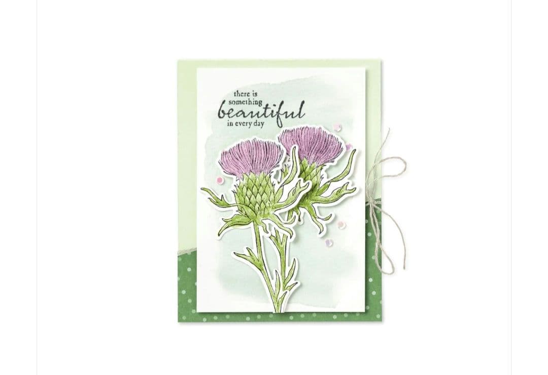 未使用　存在感あるお花スタンプ＆ダイ　スタンピンアップ