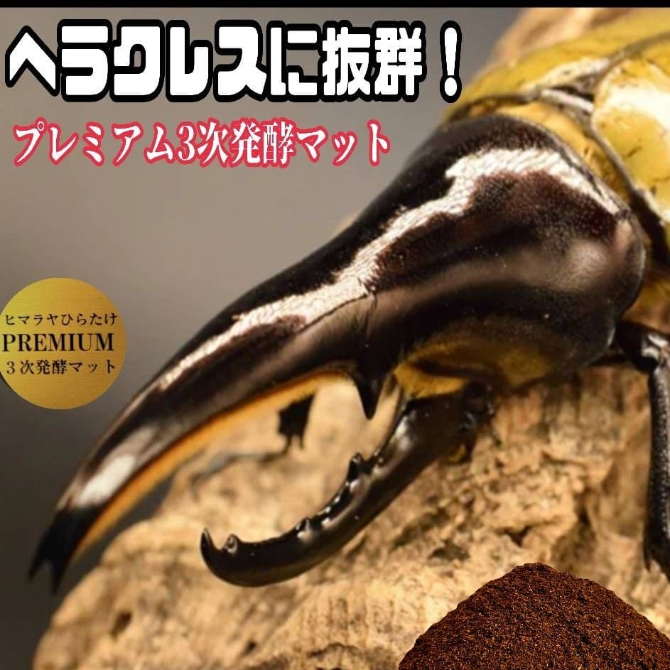 極上品！ヘラクレス181リミ羽化！プレミアム3次発酵カブトムシマット【100L】