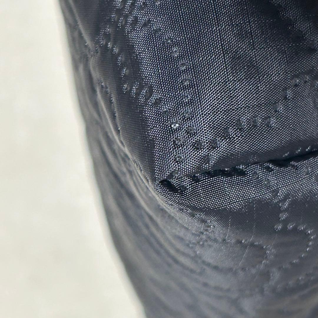 未使用級‼️【LeSportsac】パフィーブロッサムズ　黒　ショルダーバッグ