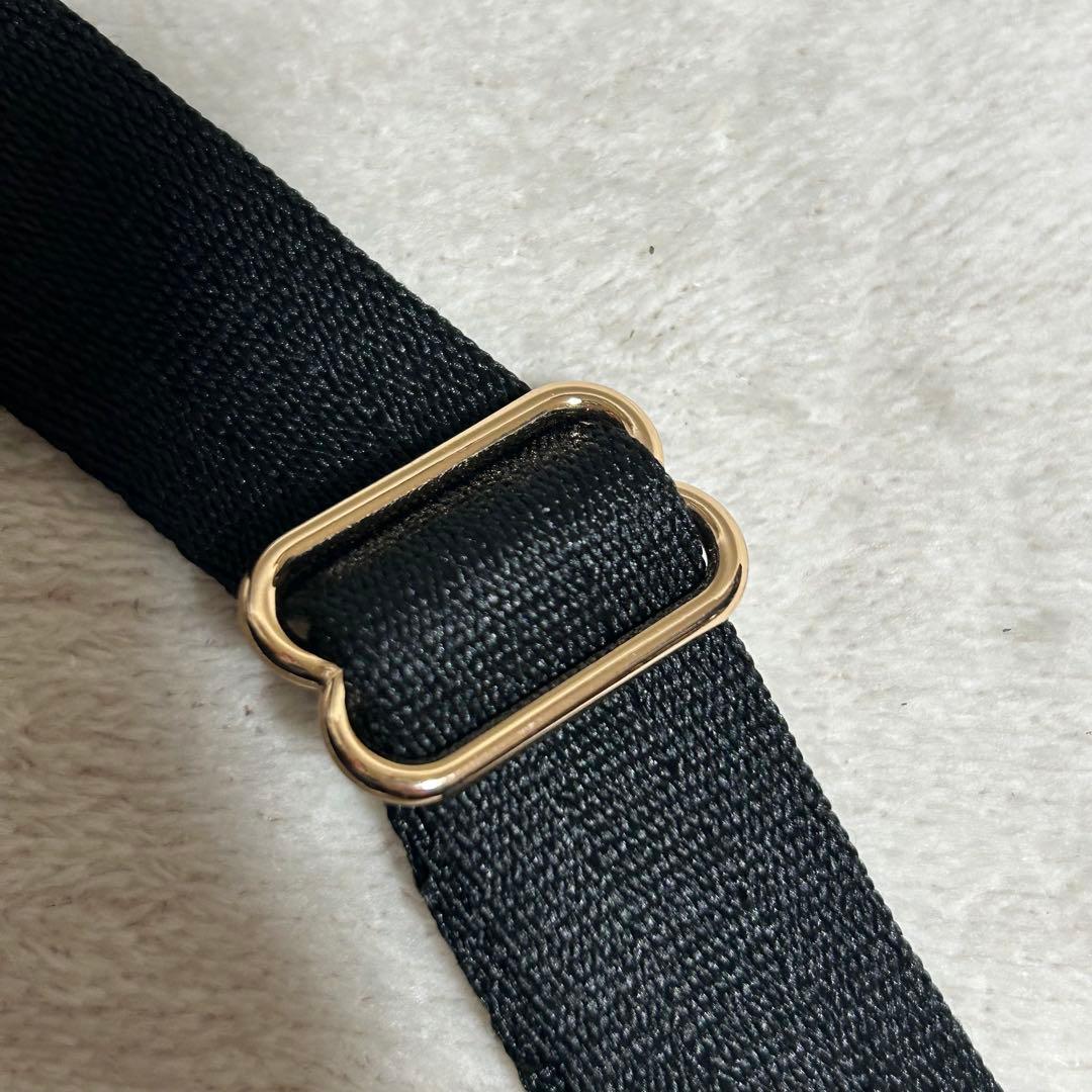 未使用級‼️【LeSportsac】パフィーブロッサムズ　黒　ショルダーバッグ