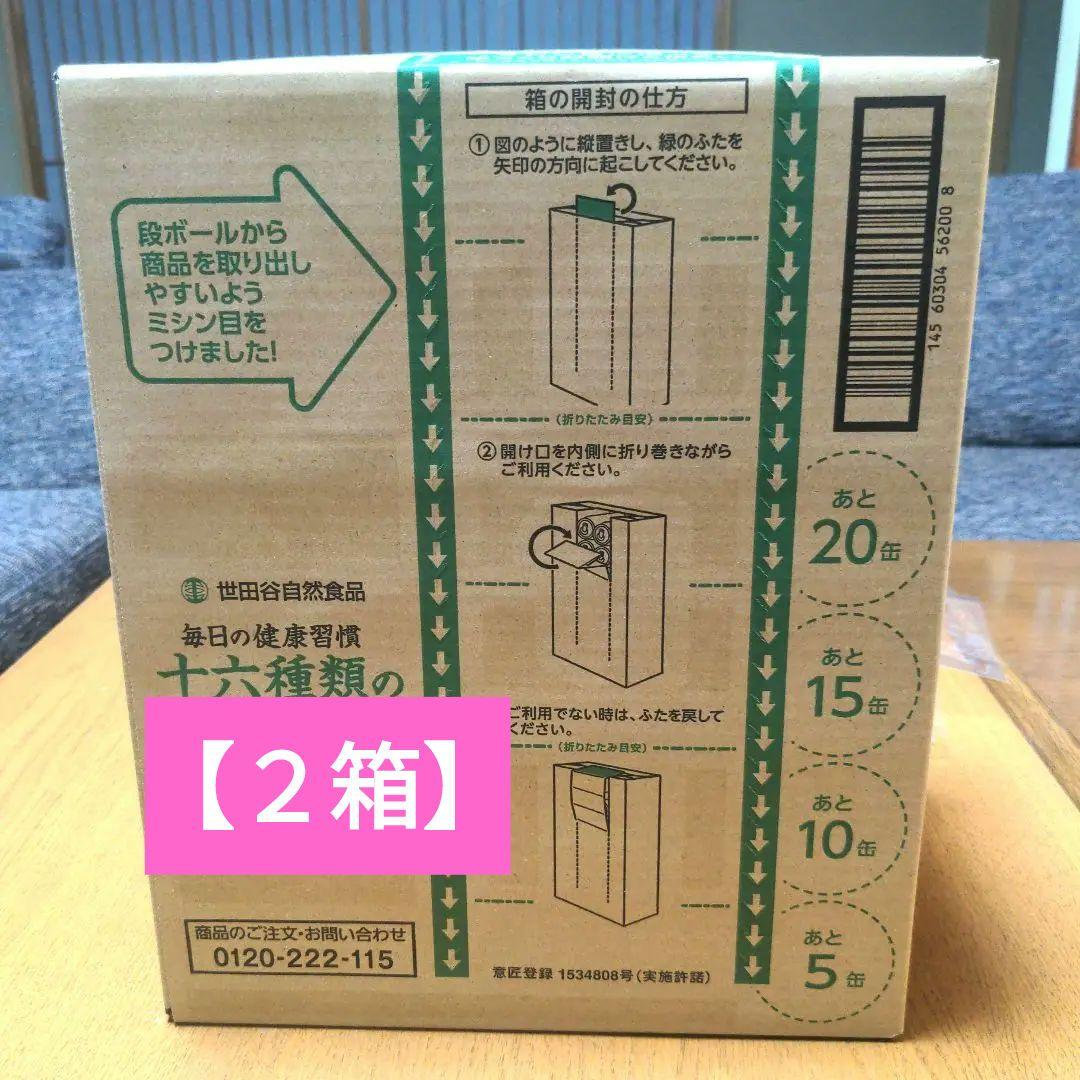 【世田谷自然食品】 十六種類の野菜　 2箱(60本)