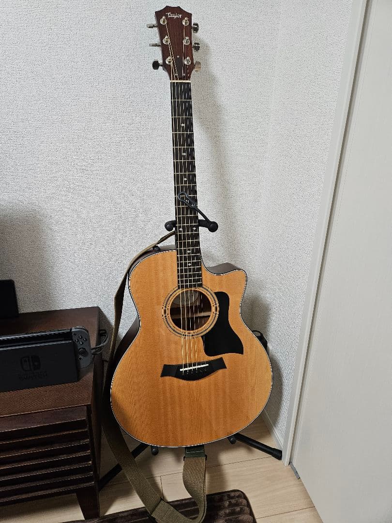 Taylor 316ce アコースティックギター