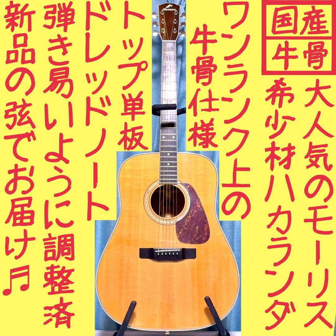 【国産★牛骨】MORRIS！M-601！ハカランダ！【弾き易く調整☆新品弦】