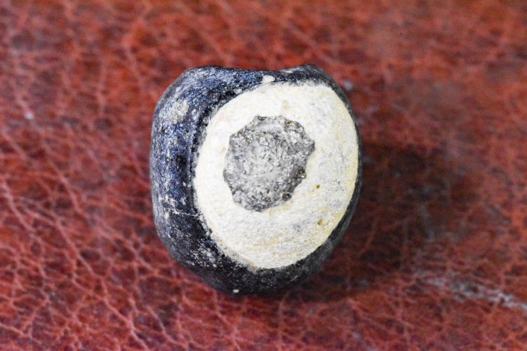 5~9世紀 シナイ半島産 金化二眼アイビーズ 完品！