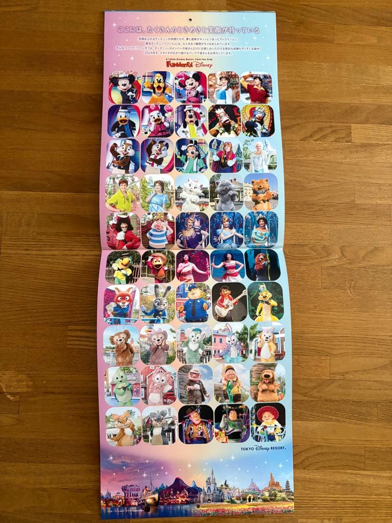 ファンダフルディズニー‼️ディズニー カレンダー セット 2005-2026年