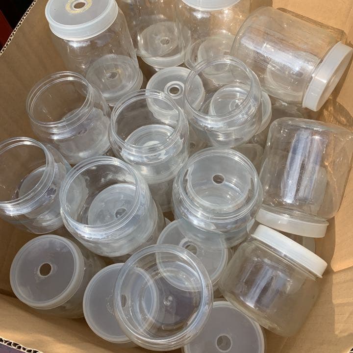 カブト虫、クワガタの、幼虫飼育に