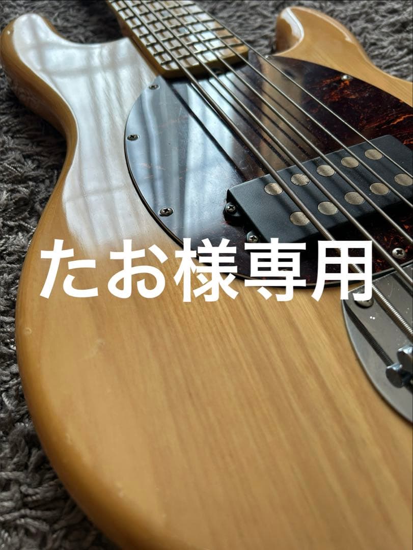 sx スティングレイ　stingray ベース　bass