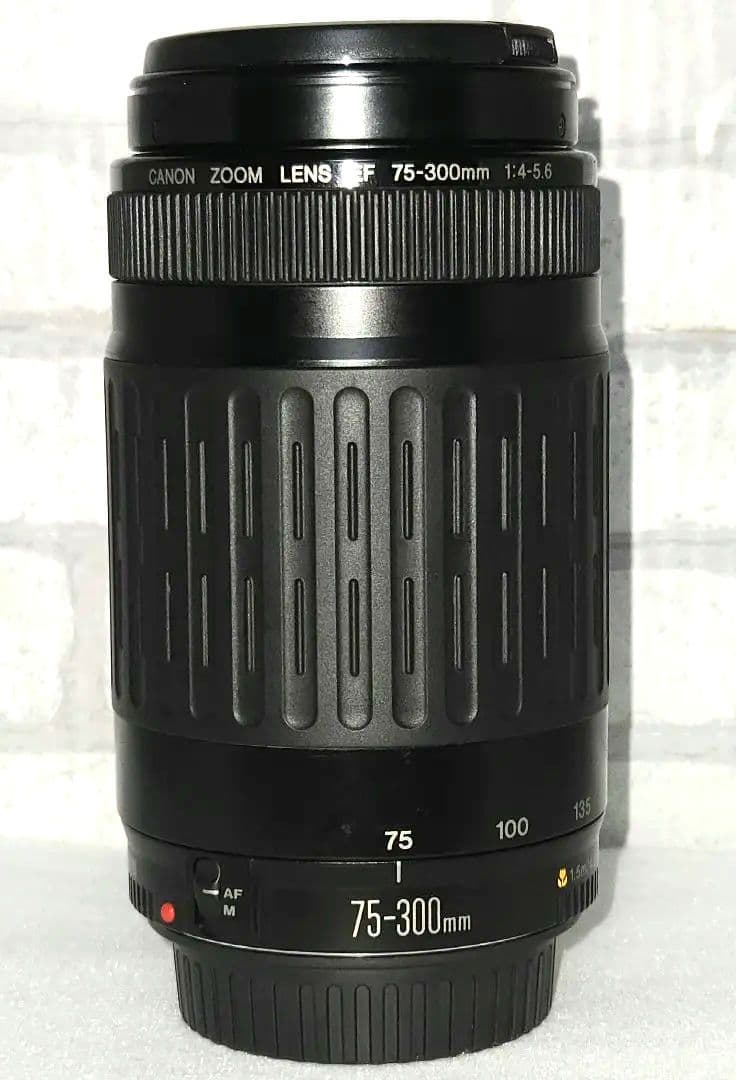 【風景の撮影に✨️】Canon EF75-300mm F4-5.6 望遠レンズ