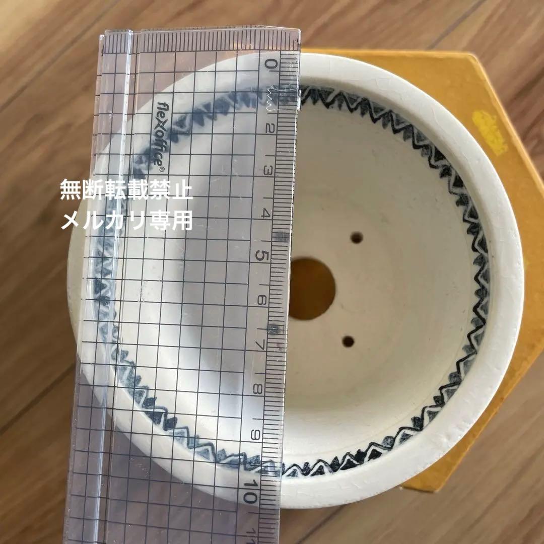 ミニ盆栽鉢　絵鉢　桑津香石　丸鉢　蝶柄　山野草