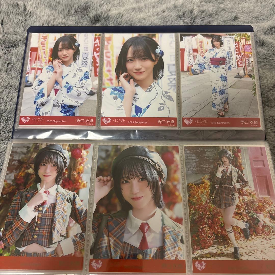 野口衣織 11コンプセット まとめ売り