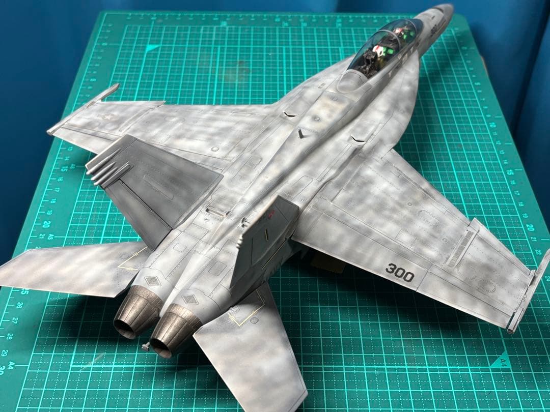 戦闘機　プラモデル　完成品　ハセガワ　1/48 F/A-18F