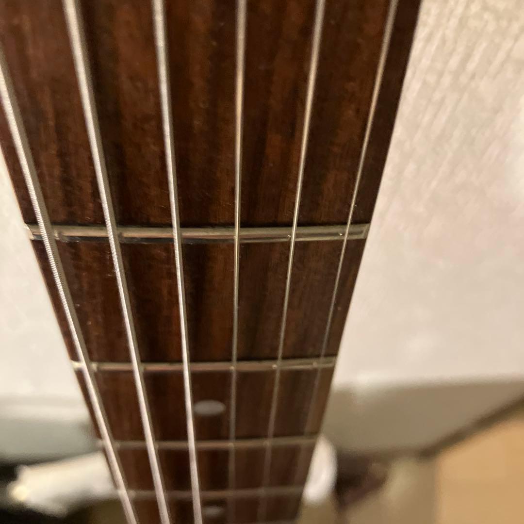 PGG トラベルギター　ピグノーズ