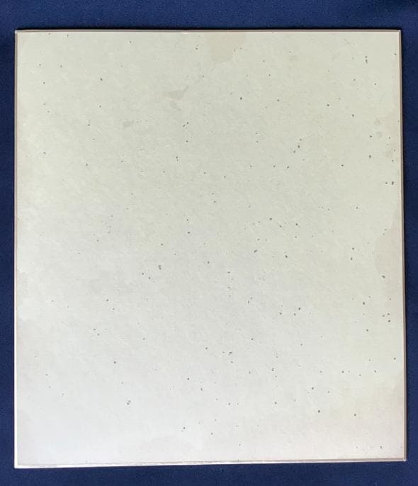 ・ZARD   坂井泉水　「色紙」