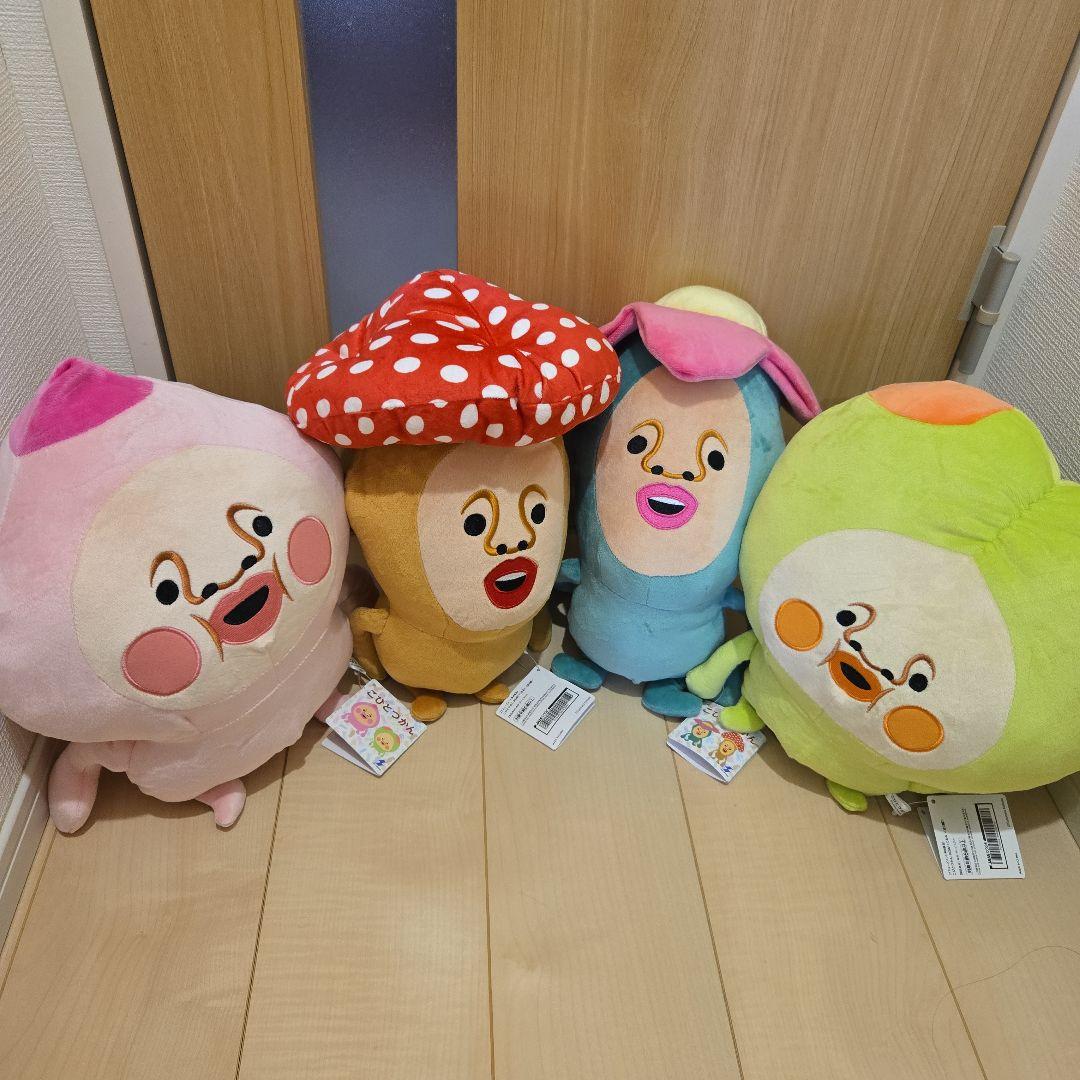 こびとづかん カクレモモジリ スモモノウチ ベニキノコビト リトルハナガシラ