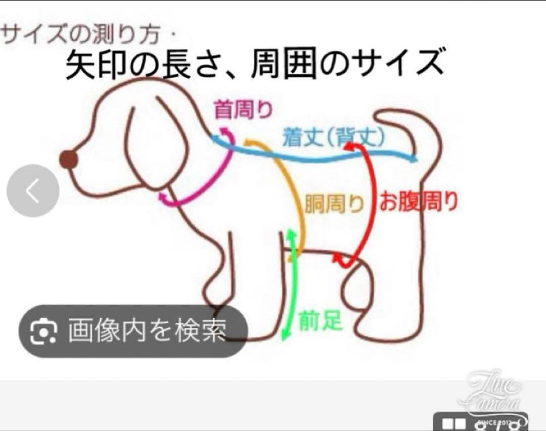 B460.pon2pan2☆オーダー犬お着物☆犬お引き摺りお着物☆2ウェイお着物