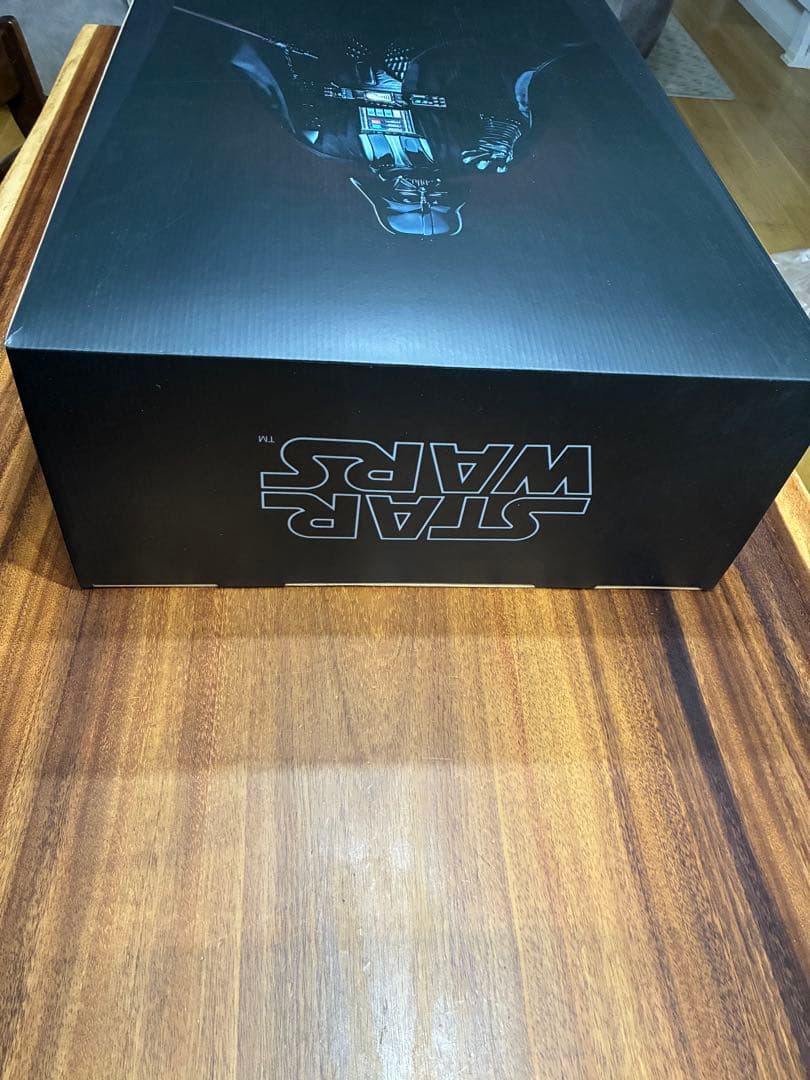 『スター・ウォーズ』 ダース・ベイダー（ムスタファー城）