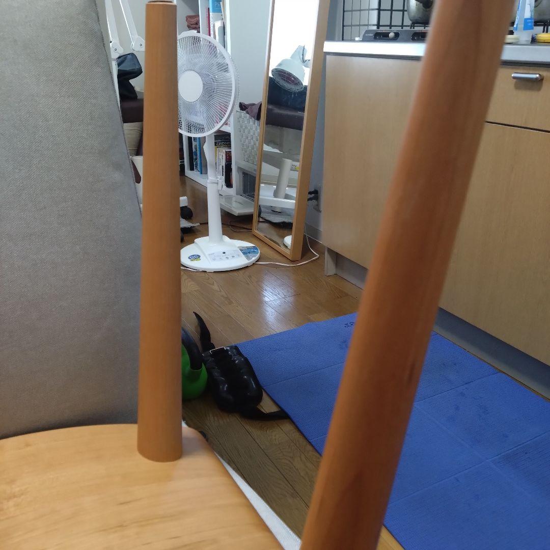 家具蔵　カグラ　KAGURA　スツ―ルセレ　新品