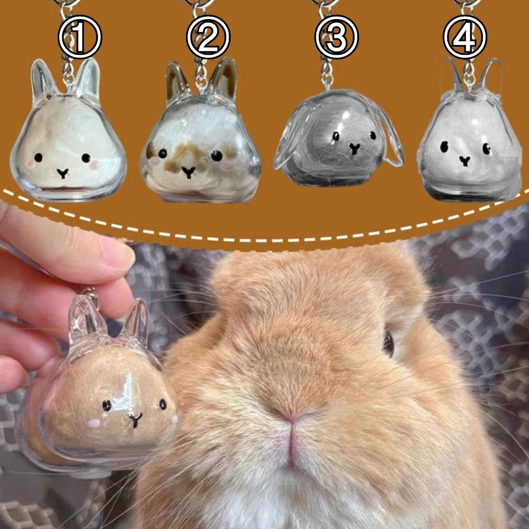 ★専用出品★うさぎの毛玉入れ キーホルダー ꪔ̤̥