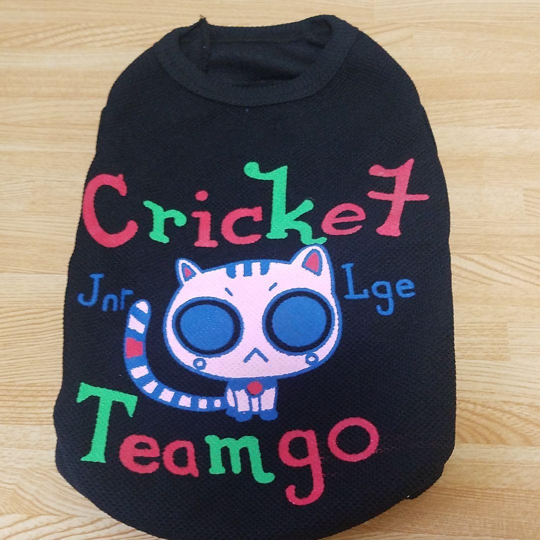 ファンキーキャット