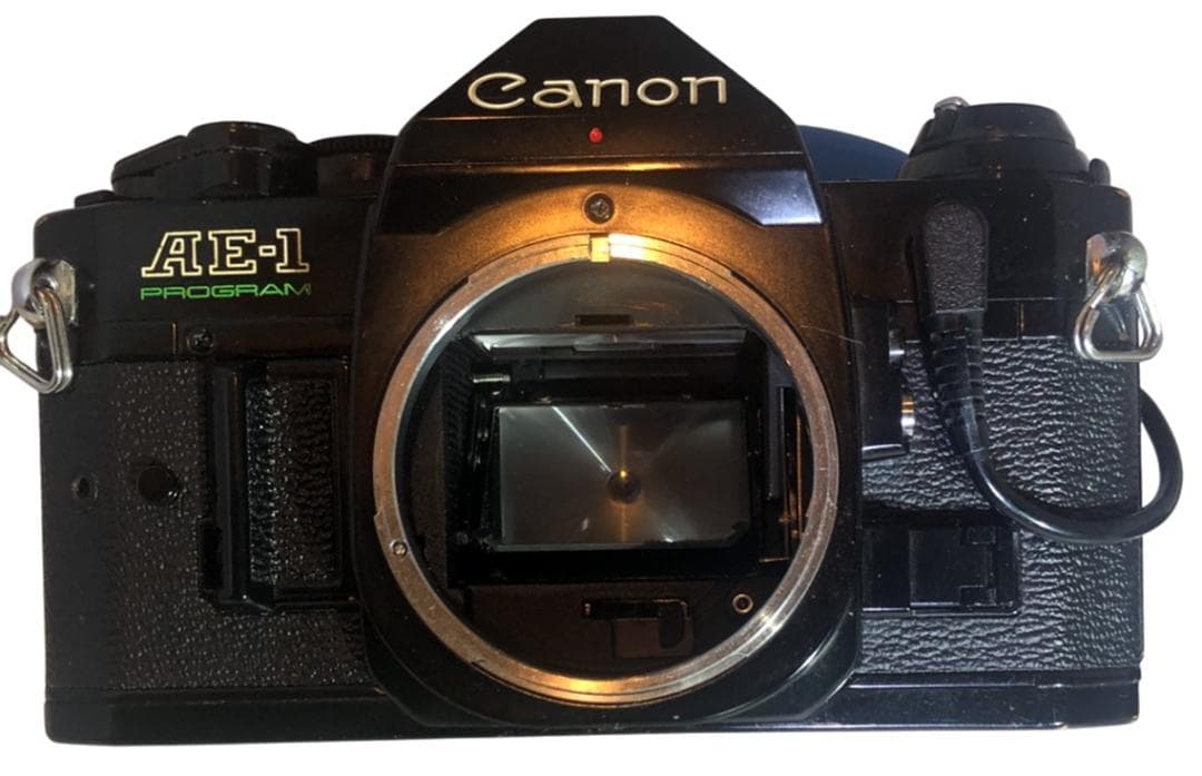 フィルムカメラ Canon AE-1 Program + D. BACK + FD 50 1.4