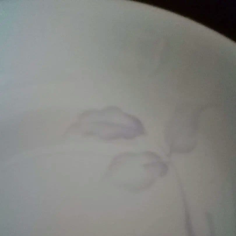 貴重なさくらんぼ絵柄鉢　オールド東洋陶器　東洋陶器　TOYOTOKI