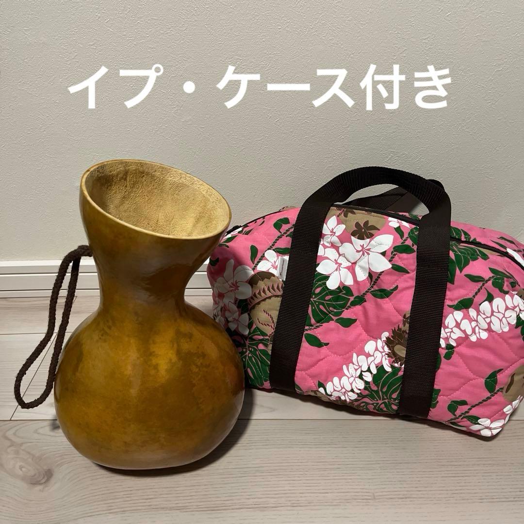 イプ・ケース付き