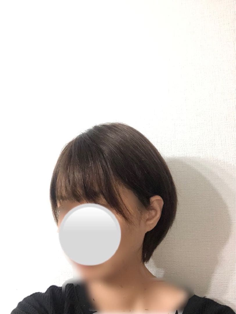 人毛ショート　ブラウン　未使用