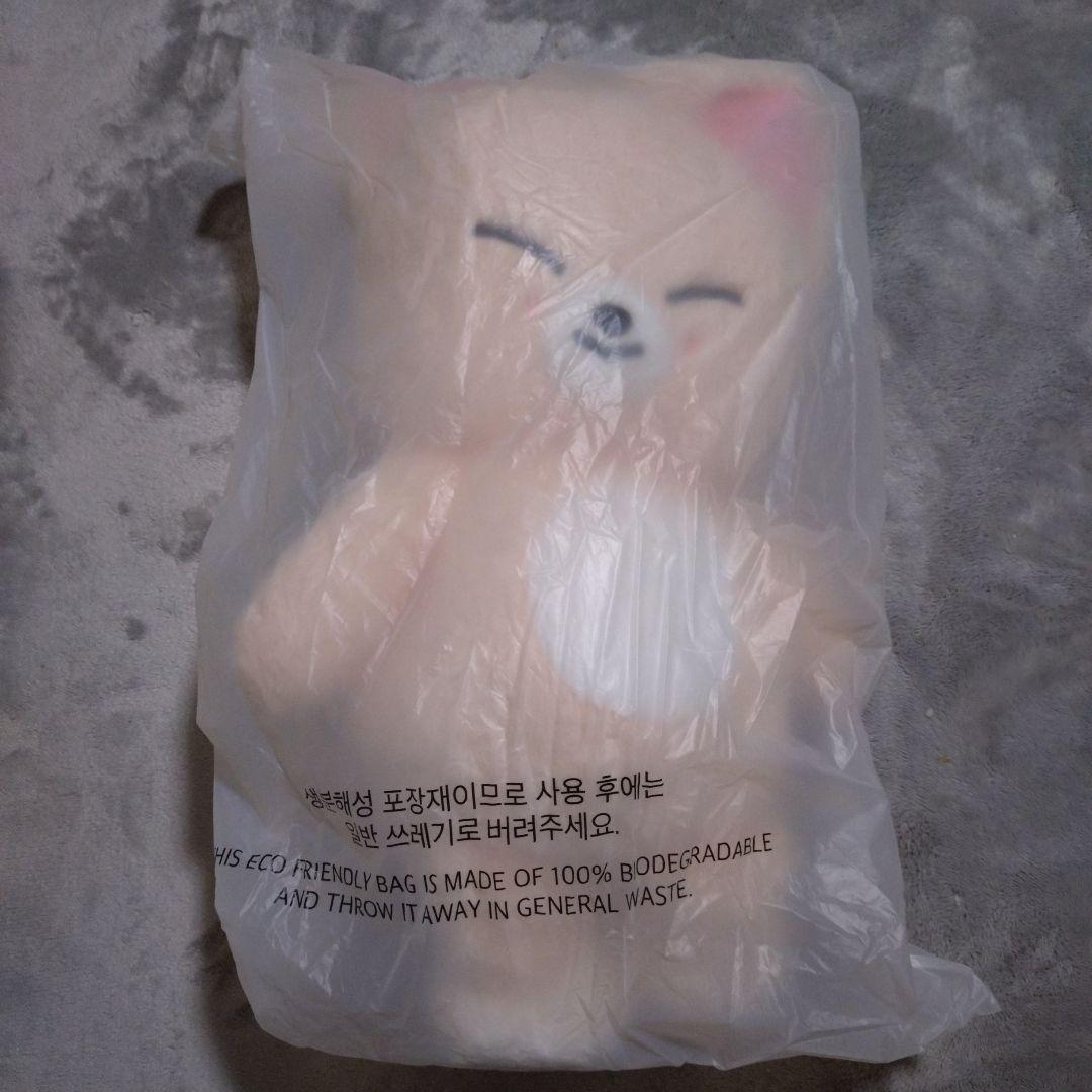 StrayKids　テディベア　フォクシニー　アイエン