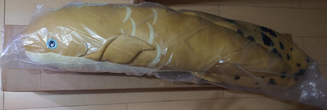 キョーリン　大型　ぬいぐるみ　ネオケラトドゥス　抱きぐるみ