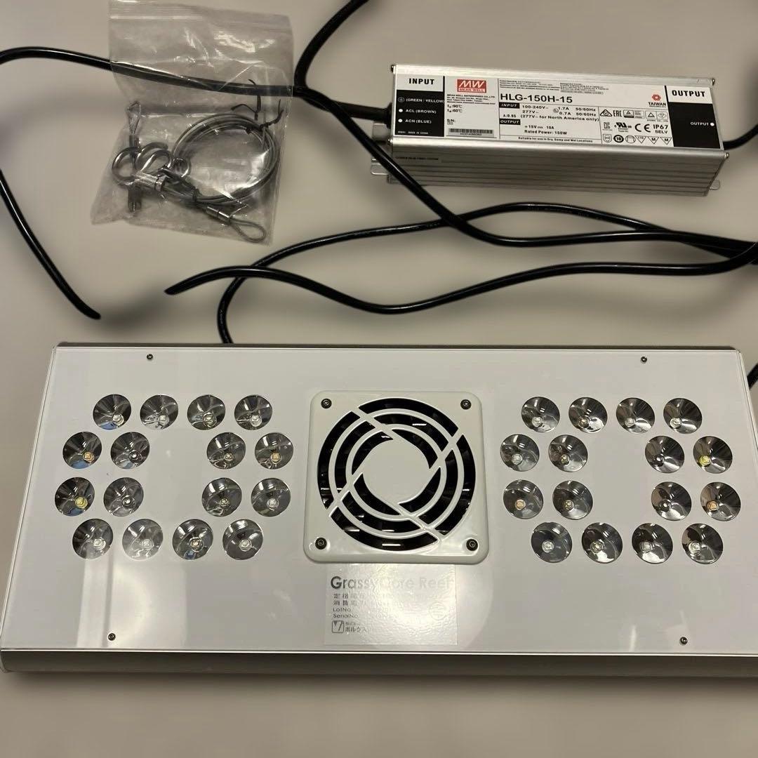 ボルクスジャパン　グラッシーコアリーフ