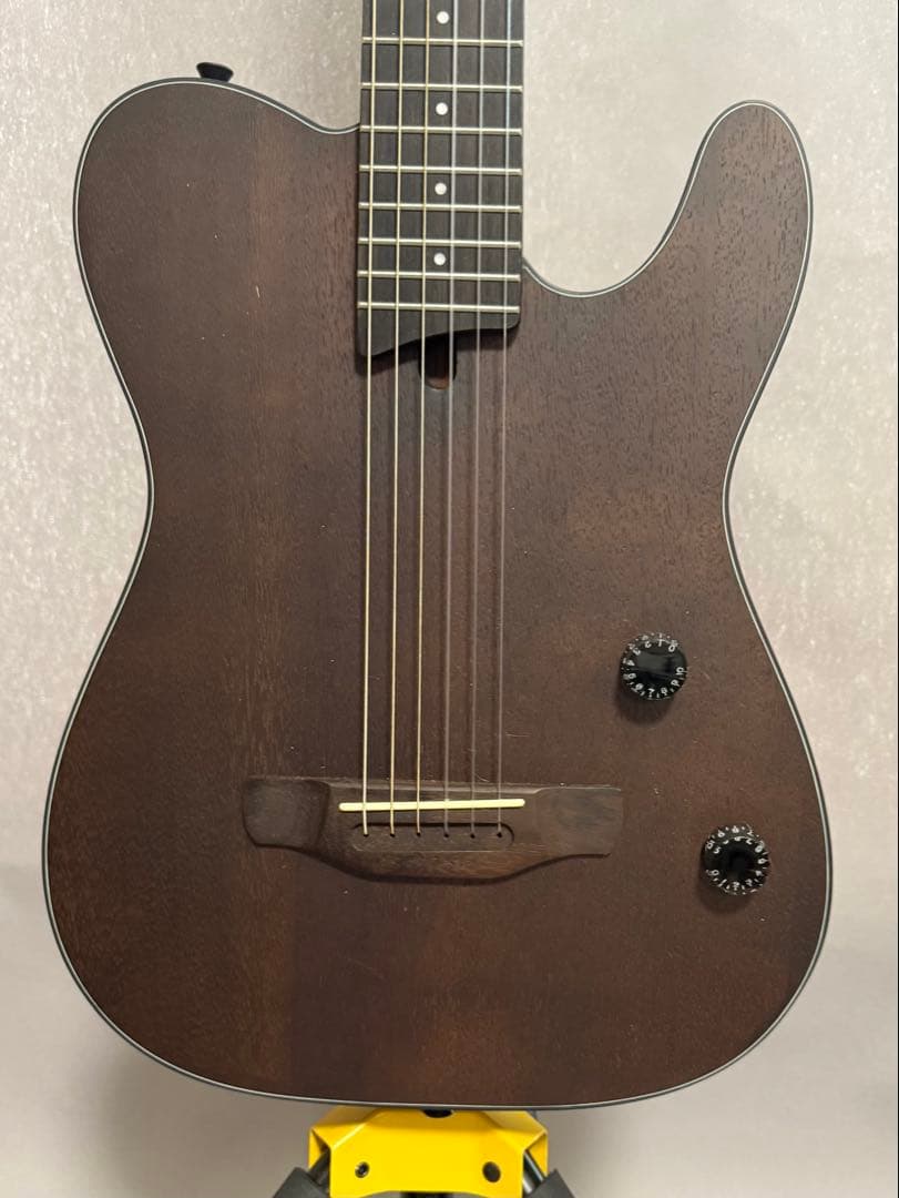 Nylon Electric Guitar　サイレントソリッドエレガット