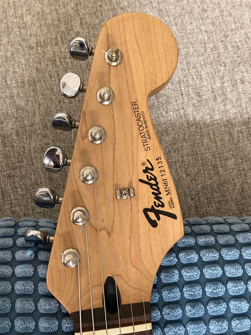 モ*ル様 Fenderメキシコ Custom '54 Pickup レインボート