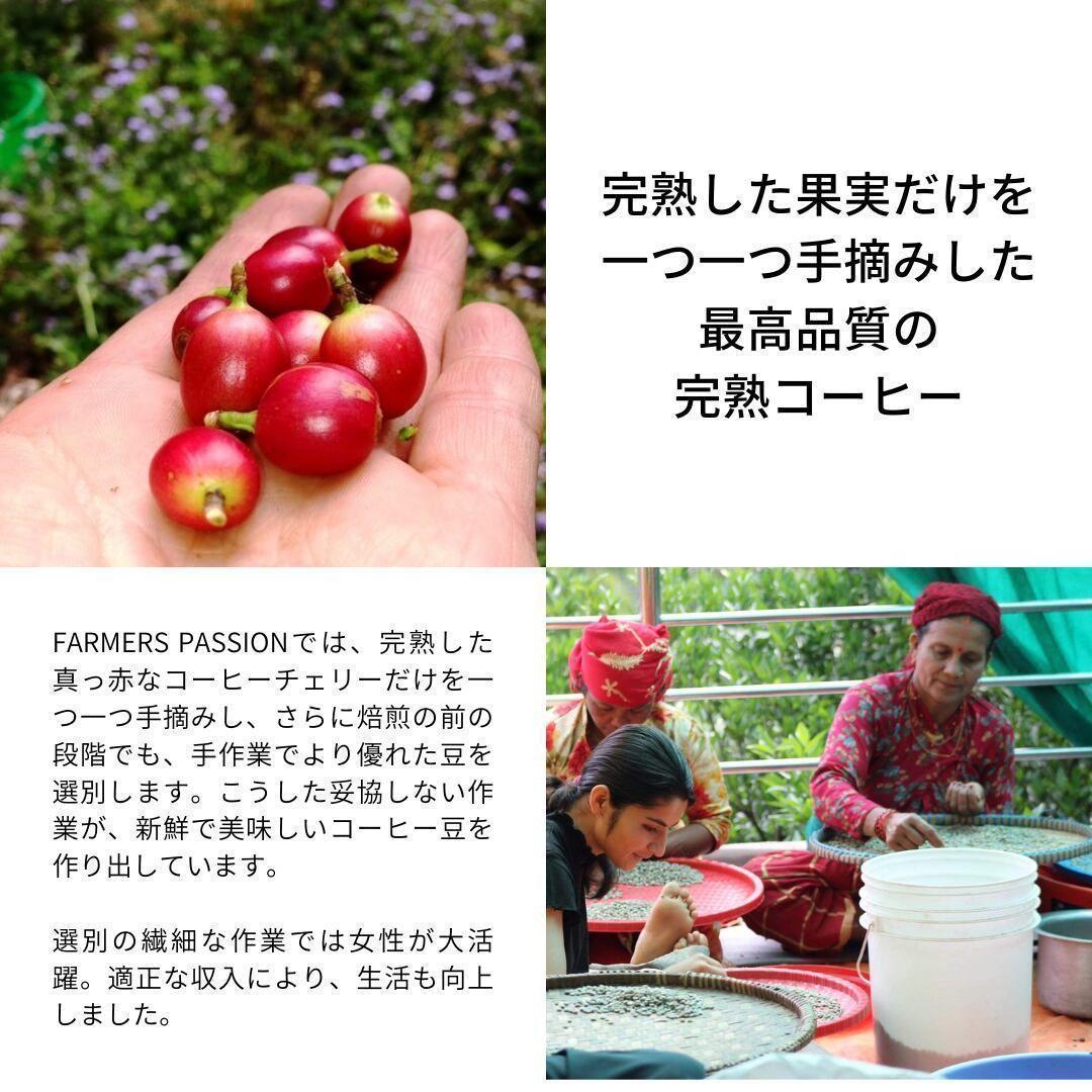 ○オーガニックコーヒー ダーク フェアトレード 1kg 粉 コーヒー豆 ネパール