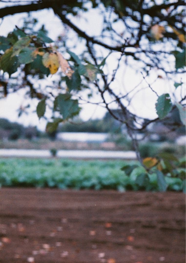 【動作確認・清掃済み】OLYMPUS PEN EED 32mm f1.7