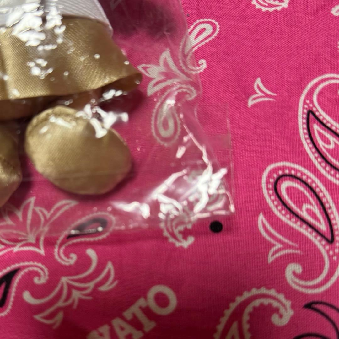 ぬいぐるみのみ