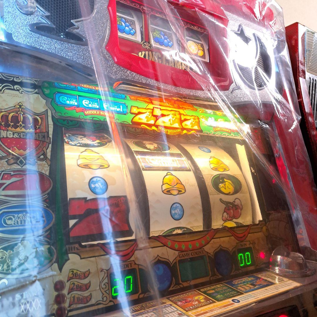 キングキャメル